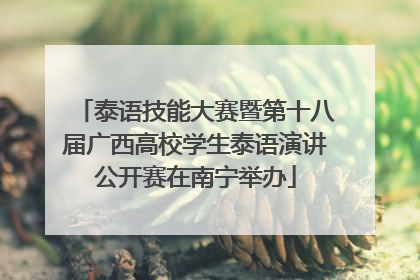 泰语技能大赛暨第十八届广西高校学生泰语演讲公开赛在南宁举办