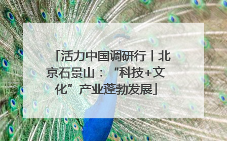 活力中国调研行丨北京石景山：“科技+文化”产业蓬勃发展