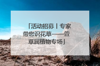 活动招募丨专家带您识花草——萱草属植物专场