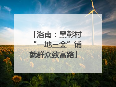 洛南：黑彰村“一地三金”铺就群众致富路