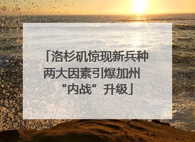 洛杉矶惊现新兵种 两大因素引爆加州“内战”升级