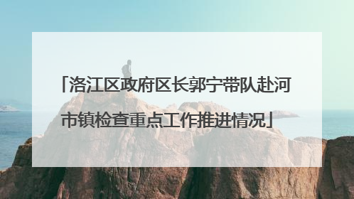 洛江区政府区长郭宁带队赴河市镇检查重点工作推进情况