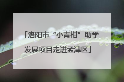 洛阳市“小青柑”助学发展项目走进孟津区