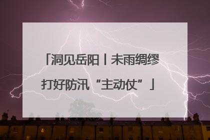 洞见岳阳丨未雨绸缪 打好防汛“主动仗”