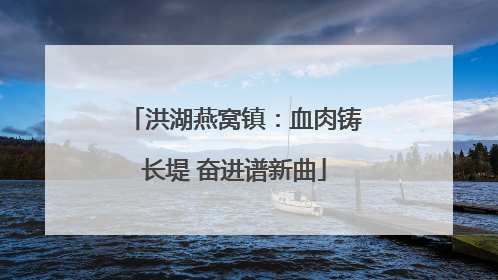 洪湖燕窝镇：血肉铸长堤 奋进谱新曲