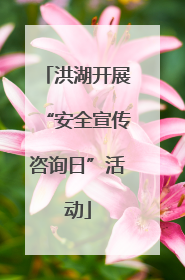 洪湖开展“安全宣传咨询日”活动