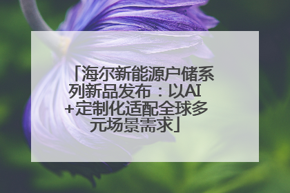 海尔新能源户储系列新品发布：以AI+定制化适配全球多元场景需求
