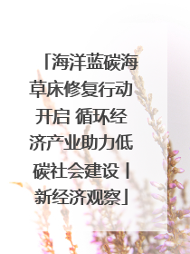 海洋蓝碳海草床修复行动开启 循环经济产业助力低碳社会建设丨新经济观察