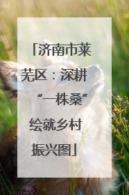 济南市莱芜区：深耕“一株桑” 绘就乡村振兴图