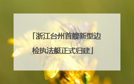 浙江台州首艘新型边检执法艇正式归建
