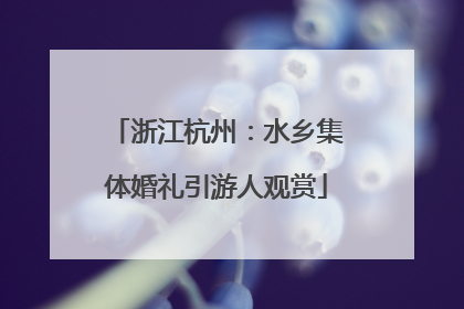 浙江杭州：水乡集体婚礼引游人观赏