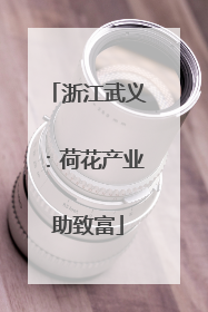 浙江武义：荷花产业助致富