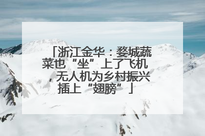 浙江金华：婺城蔬菜也“坐”上了飞机，无人机为乡村振兴插上“翅膀”