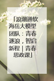 浪潮通软海岳大模型团队：青春逐浪，智启新程｜青春思政课
