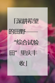 深耕希望的田野——“综合试验田”里庆丰收