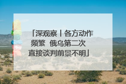 深观察丨各方动作频繁  俄乌第二次直接谈判前景不明