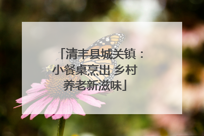 清丰县城关镇：小餐桌烹出 乡村养老新滋味