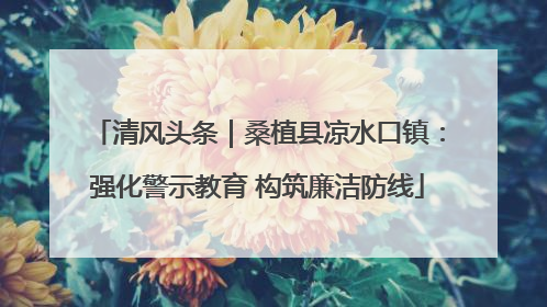 清风头条｜桑植县凉水口镇：强化警示教育 构筑廉洁防线