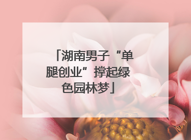 湖南男子“单腿创业”撑起绿色园林梦