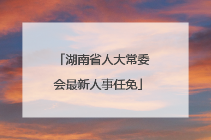 湖南省人大常委会最新人事任免