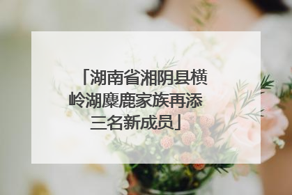 湖南省湘阴县横岭湖麋鹿家族再添三名新成员