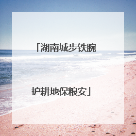 湖南城步铁腕护耕地保粮安