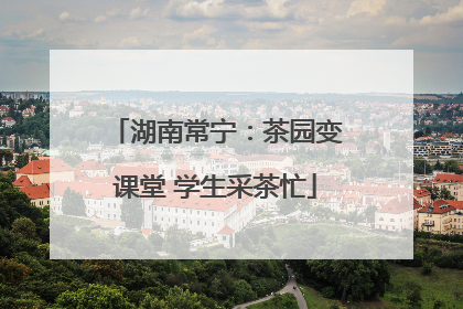 湖南常宁：茶园变课堂 学生采茶忙