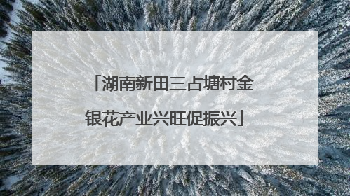 湖南新田三占塘村金银花产业兴旺促振兴