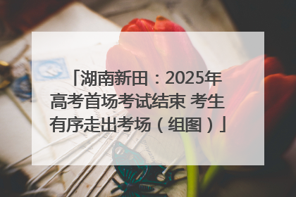 湖南新田：2025年高考首场考试结束 考生有序走出考场（组图）