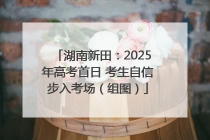 湖南新田：2025年高考首日 考生自信步入考场（组图）