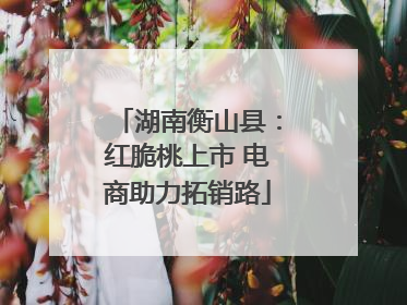湖南衡山县：红脆桃上市 电商助力拓销路