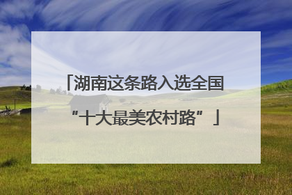 湖南这条路入选全国“十大最美农村路”