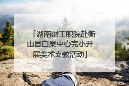 湖南财工职院赴衡山县白果中心完小开展美术支教活动