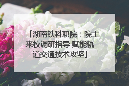 湖南铁科职院：院士来校调研指导 赋能轨道交通技术攻坚