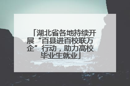 湖北省各地持续开展“百县进百校联万企”行动，助力高校毕业生就业