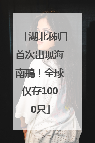 湖北秭归首次出现海南鳽！全球仅存1000只