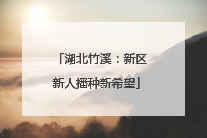湖北竹溪：新区新人播种新希望