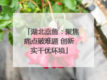 湖北嘉鱼：聚焦痛点破难题 创新实干优环境