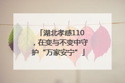 湖北孝感110，在变与不变中守护“万家安宁”