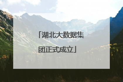 湖北大数据集团正式成立