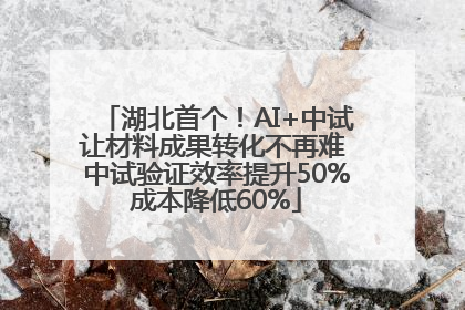 湖北首个！AI+中试让材料成果转化不再难 中试验证效率提升50%成本降低60%