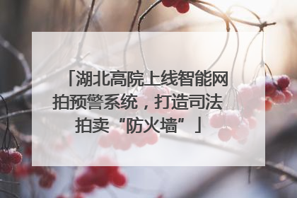 湖北高院上线智能网拍预警系统，打造司法拍卖“防火墙”