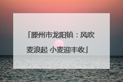 滕州市龙阳镇：风吹麦浪起 小麦迎丰收