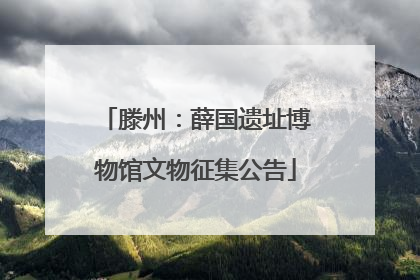滕州：薛国遗址博物馆文物征集公告