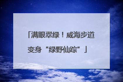 满眼翠绿！威海步道变身“绿野仙踪”