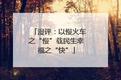 漫评：以慢火车之“慢”载民生幸福之“快”