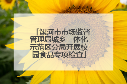 漯河市市场监督管理局城乡一体化示范区分局开展校园食品专项检查