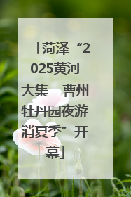 菏泽“2025黄河大集—曹州牡丹园夜游消夏季”开幕