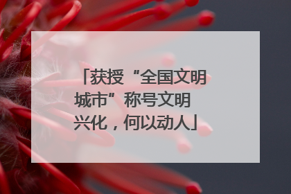 获授“全国文明城市”称号文明 兴化，何以动人