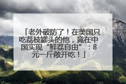 老外破防了！在美国只吃荔枝罐头的他，竟在中国实现“鲜荔自由”：8元一斤敞开吃！